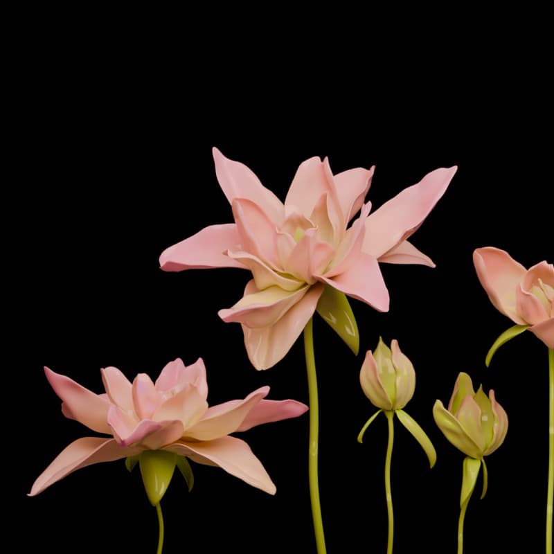 3D render of lilly flowers